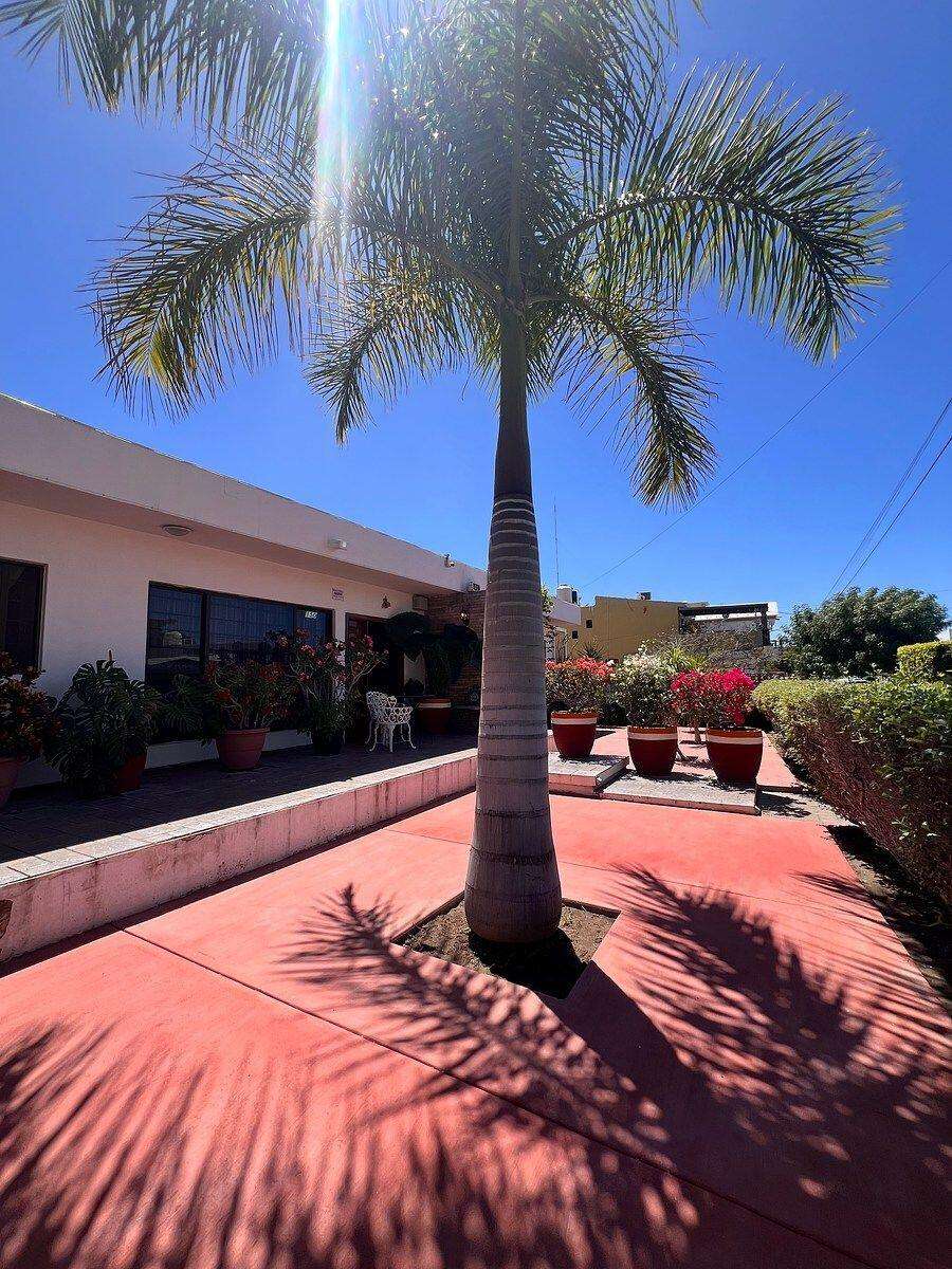 La Paz Centro The property currently includes a functional residence with the following layout:4 bedrooms, 3 full bathrooms and 1 half bathroom, kitchen, living and dining areas, service quarters, interior garden, spacious terrace, barbecue area, utility sink, 2-car garage, and a 10,000-liter cistern.Additionally, it includes an adjacent lot, significantly enhancing its footprint and development potential.The price must be paid in mexican pesos by the amount of for sale